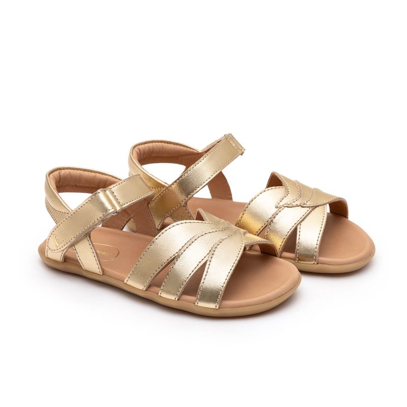 CB.PET1-4555 -0- CB.PET1-4555 -0-